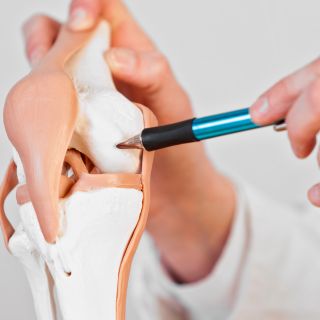 Erősíti a porcot és a csontszövetet